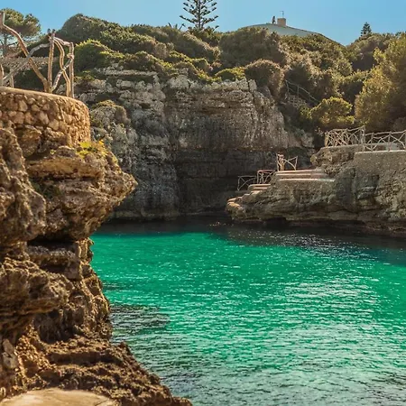 Delfines Biniforcat *