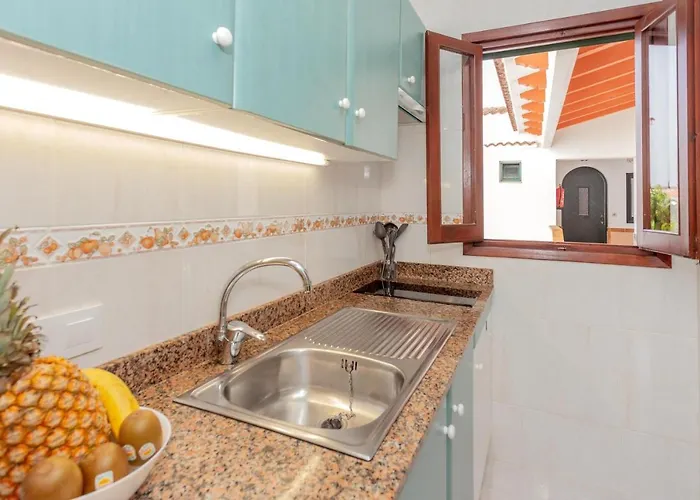 Delfines Biniforcat ثيوداديلا