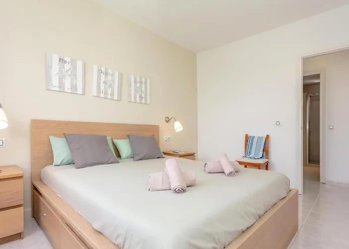 Delfines Biniforcat *