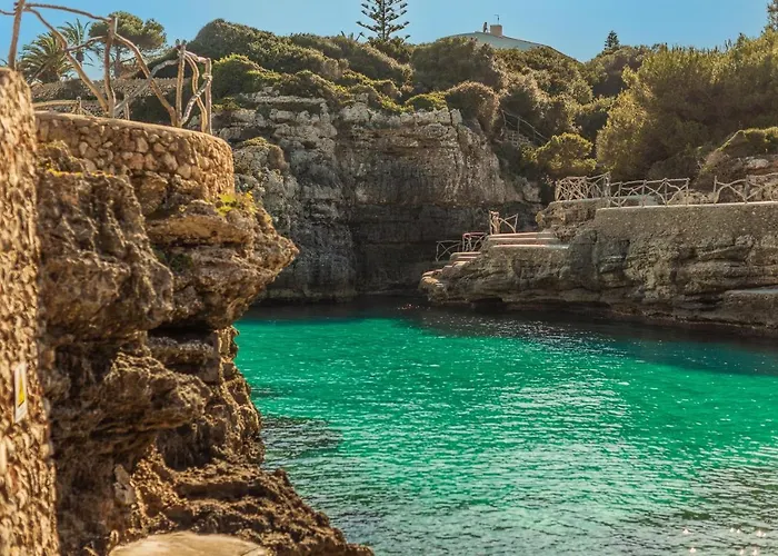 Delfines Biniforcat *